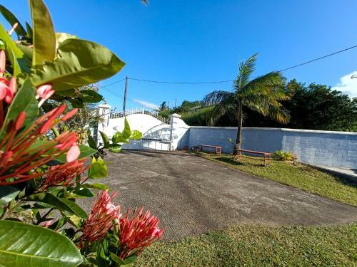 Apartamento Le Papaye - R�nov� - Jardin Arbor�