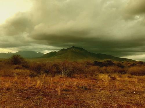 Scenic Villas - Taita Taveta - Kenya