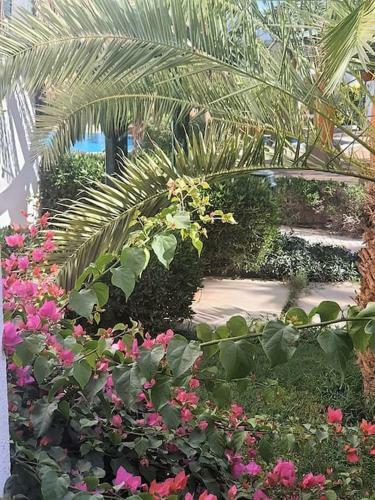 Apartamento Delta Sharm Studio, 50m2 Pool View, Wifi - No Fees B80108