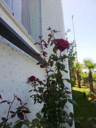 Apartamento Vacances D'�t� De R�ve