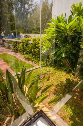 Villa Simone: Sunlit Beach Getaway W/ Pool + Wifi