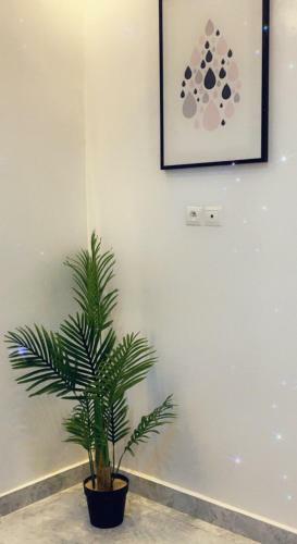 Apartamento Luxueux Appartement