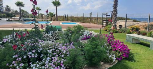 Apartamento Pied Dans L Eau � Chatt Meryem