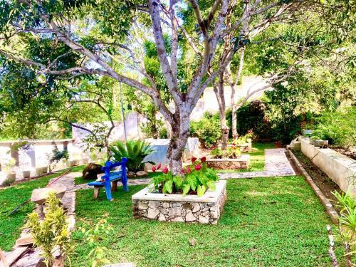 Hotel Green Eco Villa And Reserve