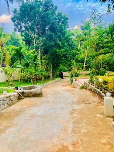Hotel Green Eco Villa And Reserve