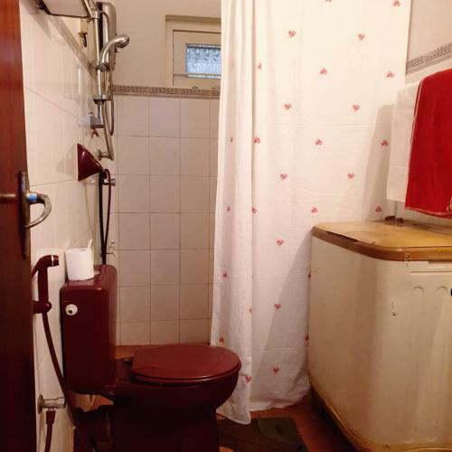 Bed & Breakfast Asiri Homestay