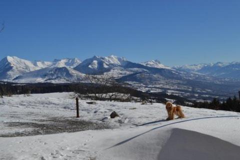 Bed & Breakfast Ch�teau Serigues