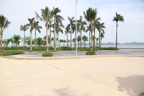 Maichi Premium Apartment Halong