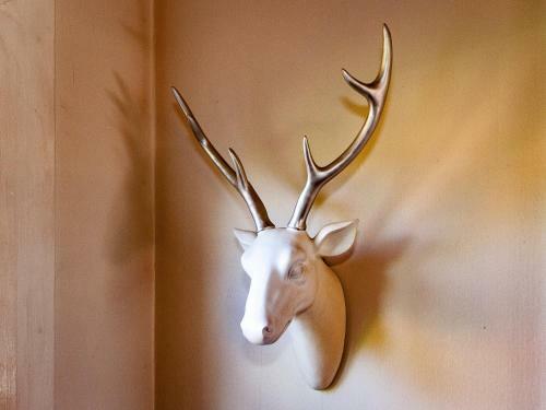 Stag & 3 Pigs - Ohakune Holiday Home