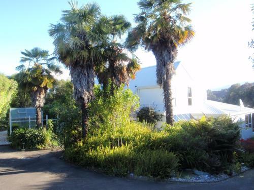 Lodge Beach Front:palms-on-the-beach.kaiteriteri.