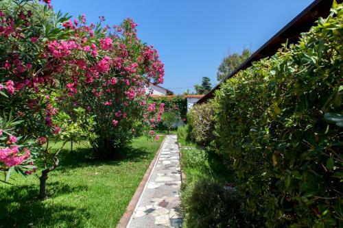 Villaggio Camping Mimosa