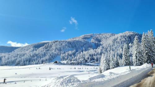 Almchalet Sunset- Carinthia / Flattnitz / 1650m