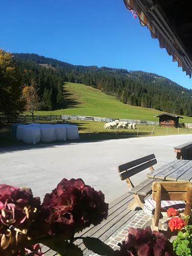Agroturismo Pension Walchauhof