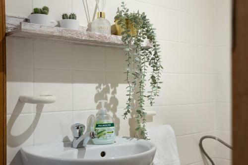 Apartamento Shs Homes, 3 Bedroom, Kitchen, Wifi, Workspace, Coffee, Central