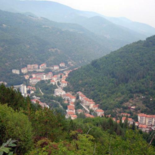 Hotel Forest Spring