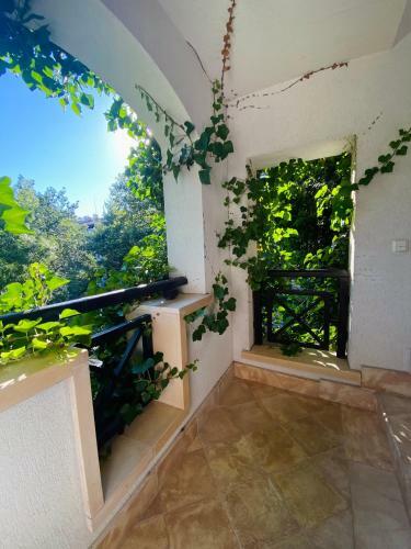 Apartamento La Terraza Del Oasis