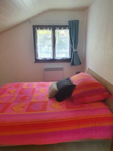 Apartamento Appartement Fully