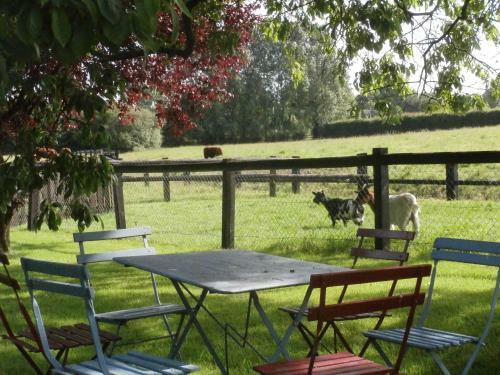 Bed & Breakfast Aux Pommiers De Livaye