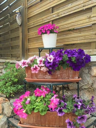 Bed And Breakfast "les Cigales"