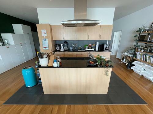 Apartamento Jungle Loft In Lausanne Centre