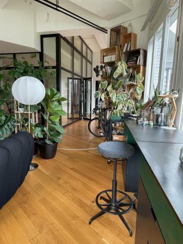 Apartamento Jungle Loft In Lausanne Centre