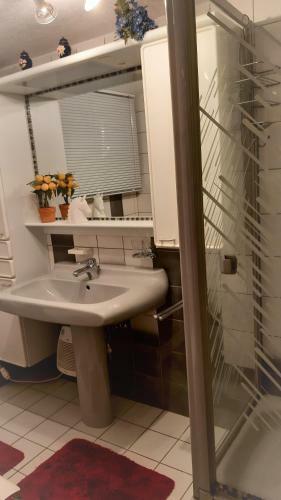 Apartamento Harzer Bergblick