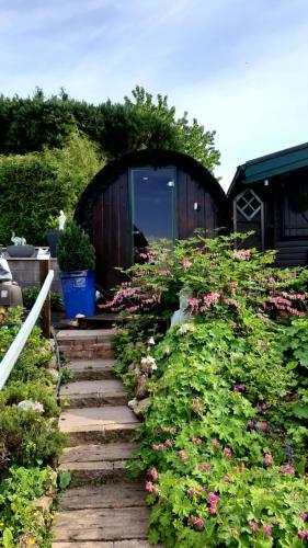 Apartamento Harzer Bergblick
