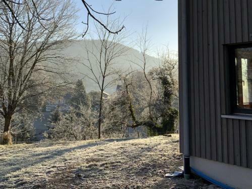 Ferienhaus Baiersbronn Lug Ins Tal