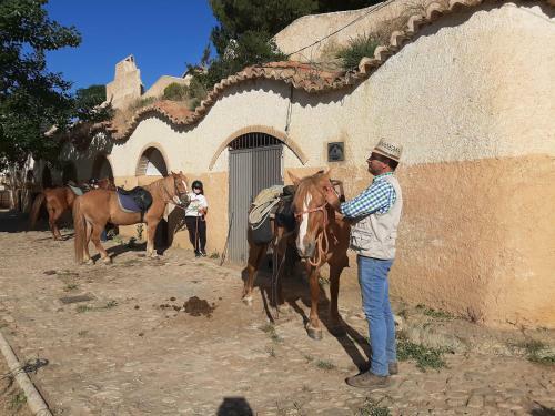 Agroturismo Kamer Met Stapelbed Sierra Nevada Spanje