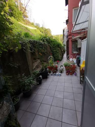 Apartamento En San Sebasti�n Con Patio Exterior