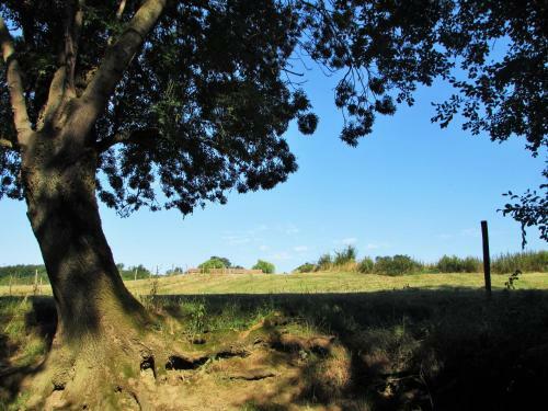 Bed & Breakfast La Gaucherie Aux Dames