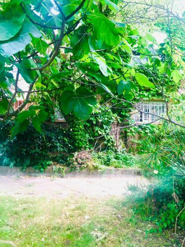 Apartamento Appartement En Rdc � Argeles Sur Mer