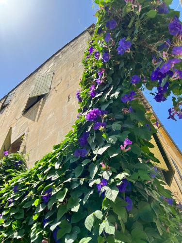 Le Donjon De La Roquette