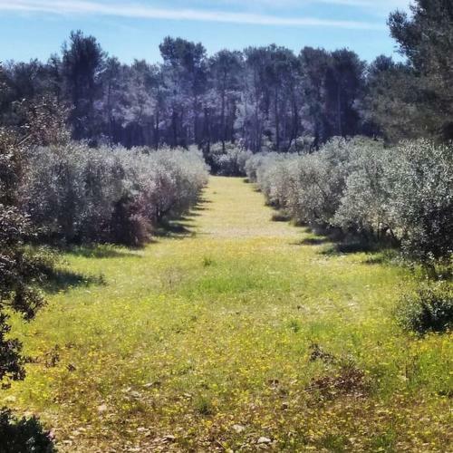 Apartamento Coquet Studio Au Pied Des Ar�nes, Wifi