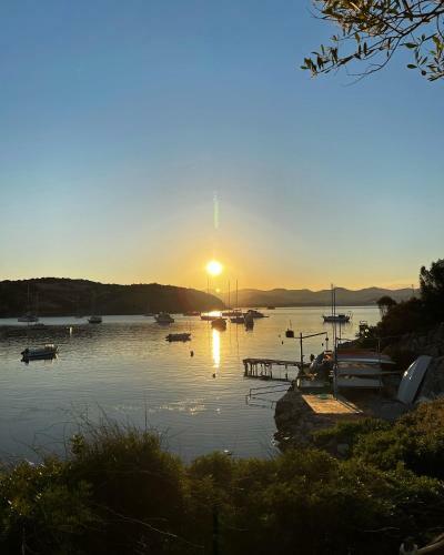 Apartamento Thedreamlifehouse