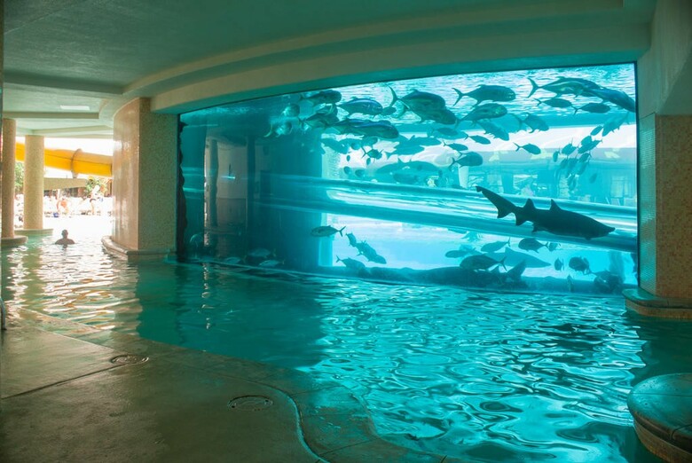 Hotel Golden Nugget Las Vegas