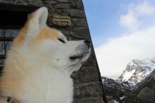 Casa Rural La Caba�a Del Valleyu