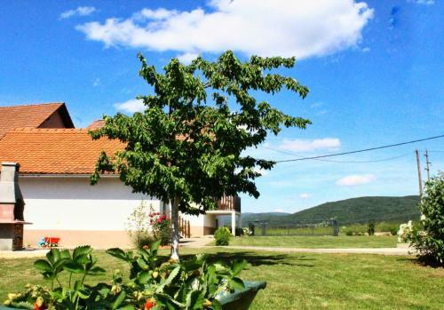 Ku?a Za Odmor Antonio