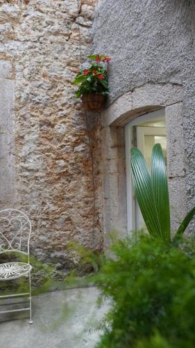 Apartmani Tripalo