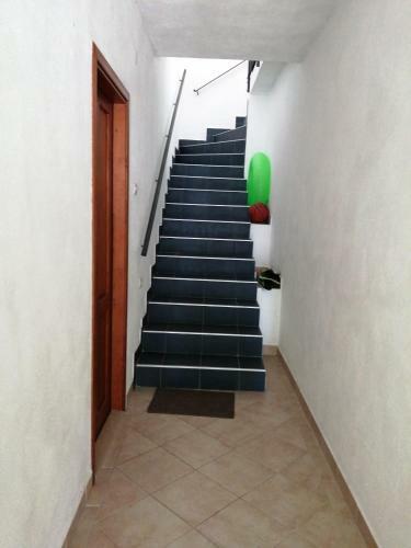 Apartment Lina