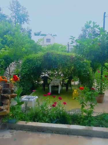Hostal Holiday House Chkonia