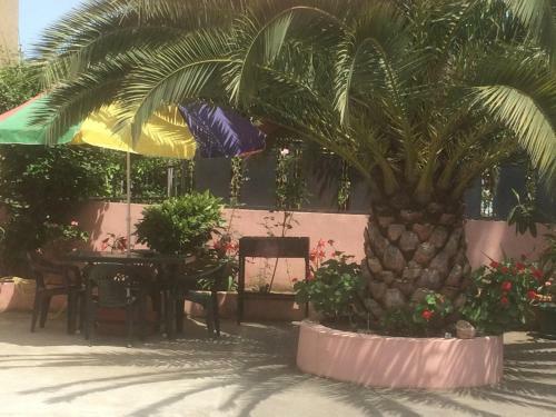Hostal 400 Meters From The Sea