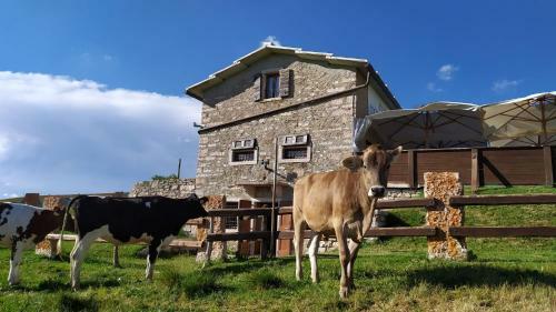 Casa In Montagna - Baita In Lessinia