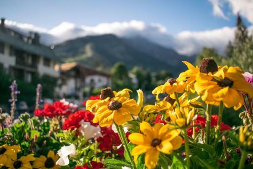 Apartamento Asteria 29 300mt From Sky Slopes - Happy Rentals