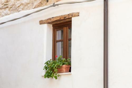 Hostal Bed And Terrace Caterina