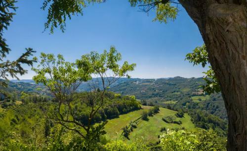 Bed & Breakfast Moncrivel Rooms & Relax