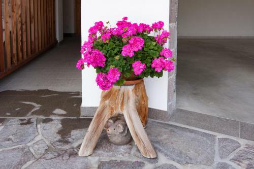 Apartamento Appartement Oberlechnerhof