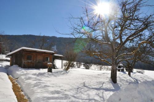 Apartamento Appartements Wiesenheim
