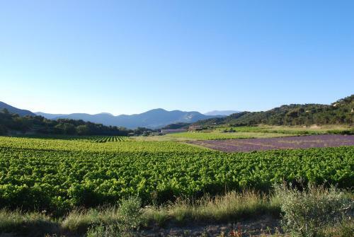 Bed & Breakfast Domaine De Provensol