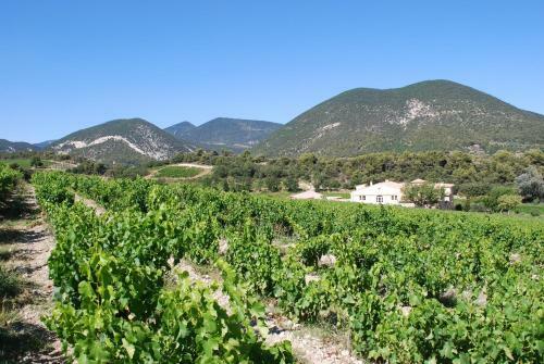Bed & Breakfast Domaine De Provensol